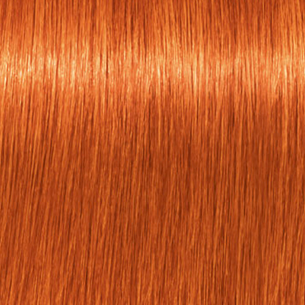 Tintura Permanente Igora Royal 8-77 Rubio Claro Cobre 60ML
